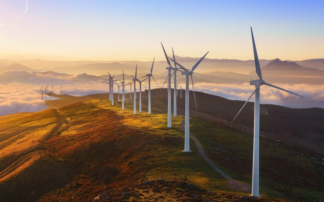Les énergies renouvelables sauveront-elles nos forêts ou les détruiront-elles ?