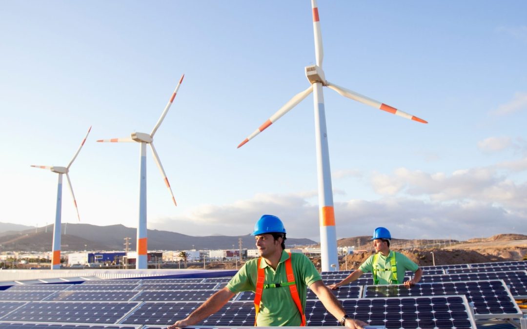 La Révolution des Toits Végétalisés et Solaires