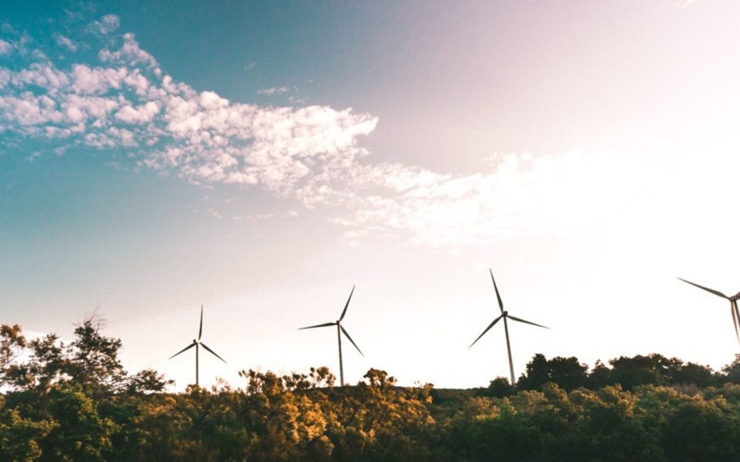 Pourquoi vos plantes d&rsquo;intérieur peuvent réduire votre facture d&rsquo;énergie